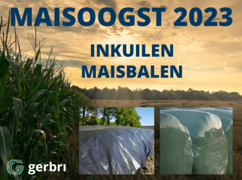 MAISOOGST2023_480x357_acf_cropped