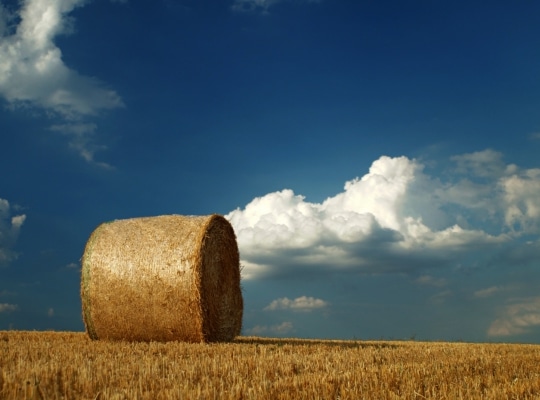 duurzaam-hay-bales-3581516_540x400_acf_cropped