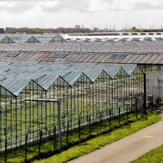 horticulture-2779709