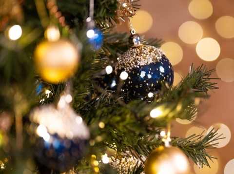 kerst2025-s_480x357_acf_cropped